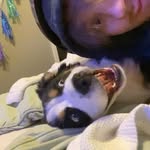 Zach Kirk - @zachkirk9 - Instagram