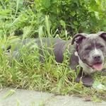 Zach Kirk - @zachkirk1 - Instagram