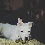 Zach Kirk - @kirk_zach - Instagram
