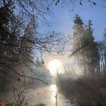 Zach - @zachkir.k - Instagram