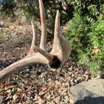 Zach Kirsch - @ztkirsch - Instagram