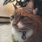 Zach Kline - @cooperthegamer - Instagram