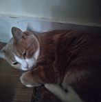Zachary Knapp - Facebook