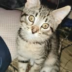 Zach Kohler - Facebook