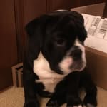 Zach Lamb - @zachlamb48 - Instagram