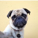 Zach Layman - @w4cky_z4chy - Instagram