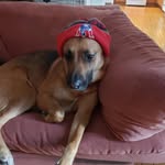 Zach Learned - @zachlearned - Instagram