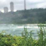 Zach Levitan - @levitan_shoes11 - Instagram