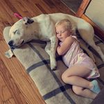 Zach Logan - @zach_logan15 - Instagram