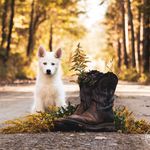 Zach Lott - @zachlott_0112 - Instagram