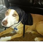 Zach Lowrie - Facebook