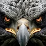 Zach Lucas 🦅 - @zachlucas14 - Instagram