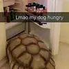 Zach Lundquist - @zachlundquist0 - TikTok