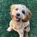 Zach Lytle - Facebook