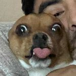 Zach Lytle - @zachflytle - Instagram