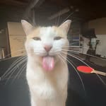 Zach Lytle - @extervention - Instagram