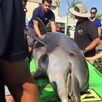 Zach Mackston - @zachmackston - Instagram