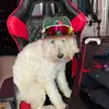 Zach - @zach._.mcgee - TikTok