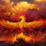 Zachary McNulty - @kingrisingsun - Instagram