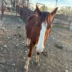 Zach Meade - @zachmeade7 - Instagram