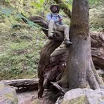 Zach Meyer - @zachmiur - Instagram