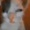 Zach - @zachminor1 - TikTok