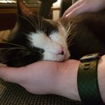 Zach Noble - @noble_zach - Instagram