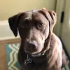 Zach Painter - @zach_painter - TikTok
