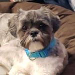 Zach Patrick - @zach.patrick.21 - Instagram