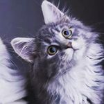 Isaac Quinn - @zach_quinn_999 - Instagram