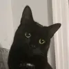 Zach Quinn - @overtpotato42069 - TikTok
