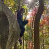 Zach Quinn - @zachdailydoc - TikTok
