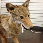 Zach Richards - @978zrichards - Instagram