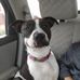 Zach Richardson - Facebook