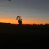 Zach 🔒 - @zachary.riddle5 - TikTok