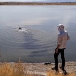 Zach Roach - @pinkbirdsoar - Instagram