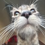 Zach Rosen - @zacharyalan_ - Instagram