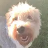 zach rosen - @zachrosen50 - TikTok