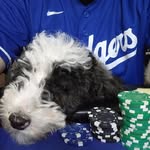 zach ross - @zachross5 - Instagram
