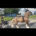 Zack Readman - Facebook