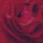 Zach - @zachrowland__ - Instagram