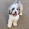 Zach - @zacharyrutter1603 - TikTok