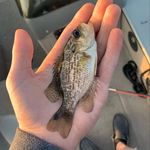 Zach Sherman - @zach_sherman1 - Instagram