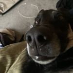 zach sherman - @zach.sherman35 - Instagram