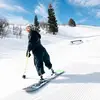 Zach Sherman - @the_ginger_board_man - TikTok