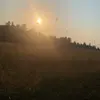 Zach simon - @zach.simon1 - TikTok