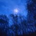 Zach Snyder - Facebook