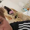 Zach Snyder - @zachyyzach13 - TikTok