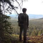 Zach Stevens - @zachstevens8995 - Instagram
