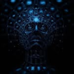 Zach Stevens - @zachsteven - Instagram